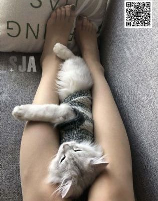 大地资源在线观看免费播放片_高清超清免费观看