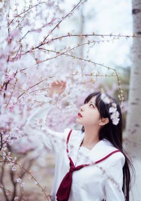 菲律宾电影免费在线观看_超清手机免费观看完整